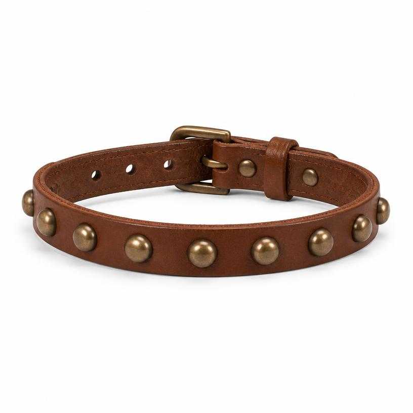Generated item image of fitted brown studded leather collar